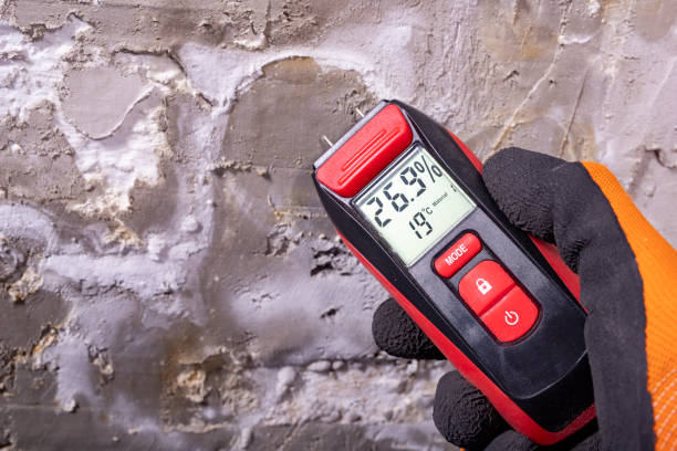 Best Fast Mold Removal  in Westmont, CA
